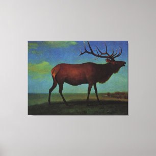 Toile Albert Bierstadt, Elk