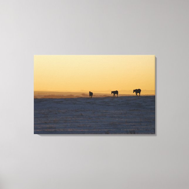 Toile Alberta, Canada 3 (Recto)