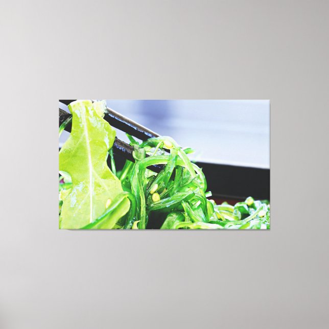 TOILE ALGUES DE MER SALADE ART JAPONAIS IMPRIMER CANVAS  (Recto)