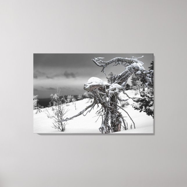 Toile Alien en bois dans le cadre hivernal (Recto)