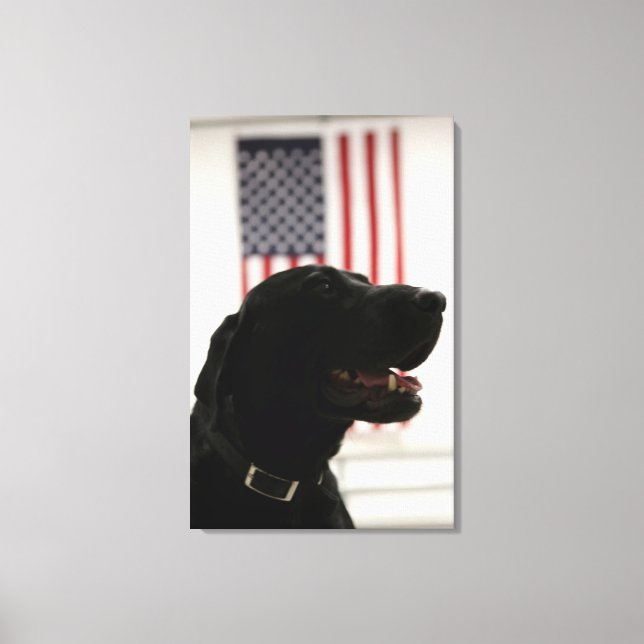 Toile All-american Black Labrador Retriever (Recto)