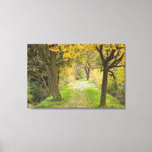 Toile Allée bordée d'arbres en automne