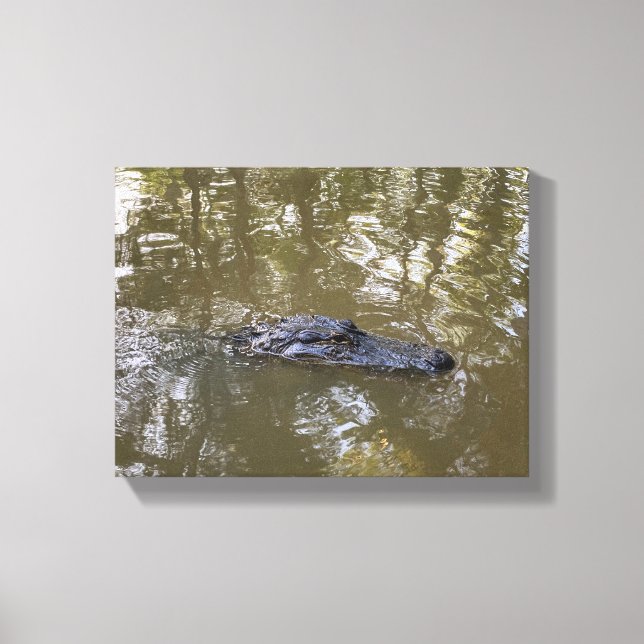 Toile Alligator de Louisiane (Recto)