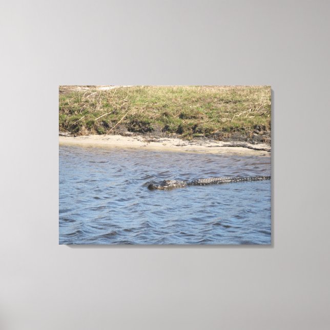 Toile Alligator Sauvage au Bord de la Rivière – Faune de (Recto)