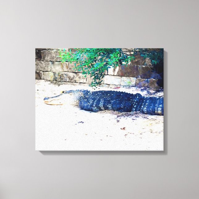 Toile Alligator se reposant près d'un mur de pierre (Recto)
