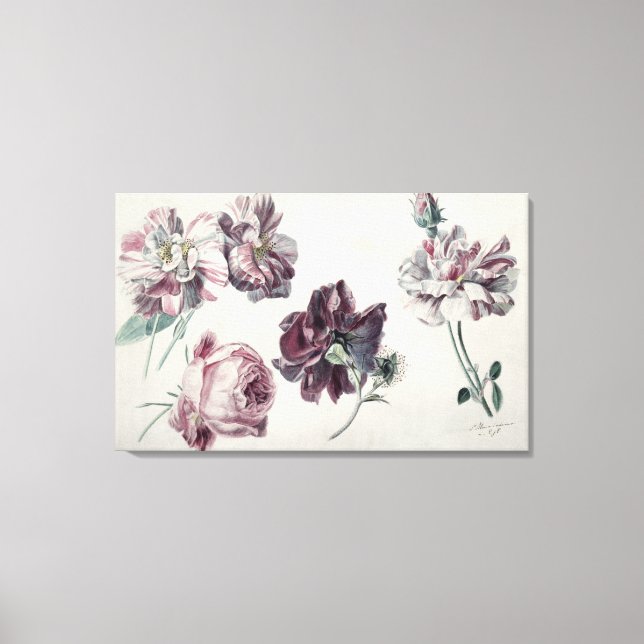 Toile Alma-Tadema | ROSE (Recto)