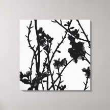 Almond Tree Outline Floral Botanical Photographie