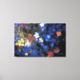 Toile Amérique du Nord, États-Unis, NH, Feuilles dans un