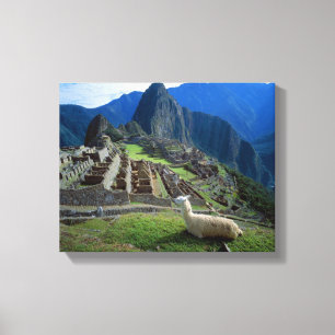 Toile Amérique du Sud, Pérou. Un lama repose sur une col