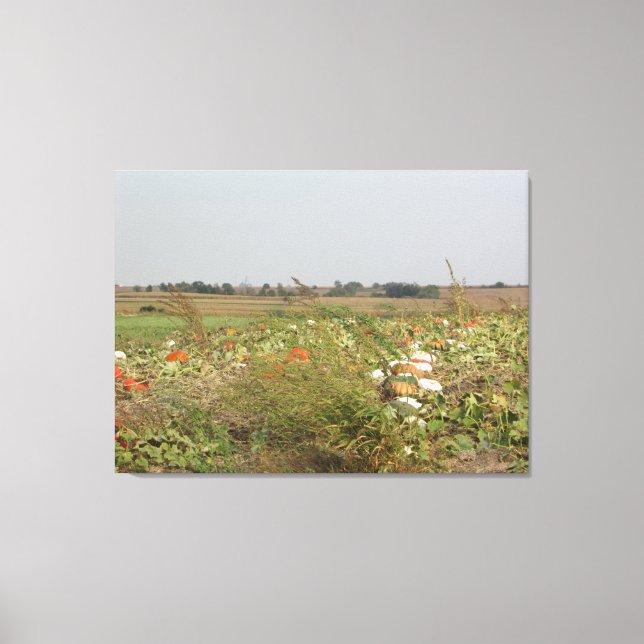 Toile Amish Citrouille Patch Farm Photographie Mur Art (Recto)