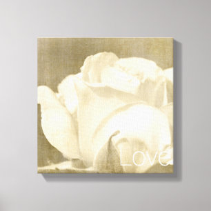 Toile Amour de rose blanc