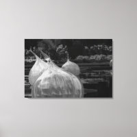 Ampoules flottantes en verre