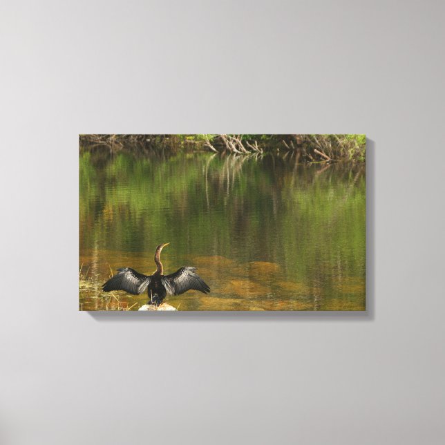 Toile Anahinga dans les Everglades (Recto)