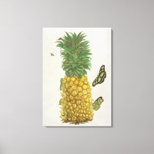 Toile Ananas avec la chenille et les papillons (main-c