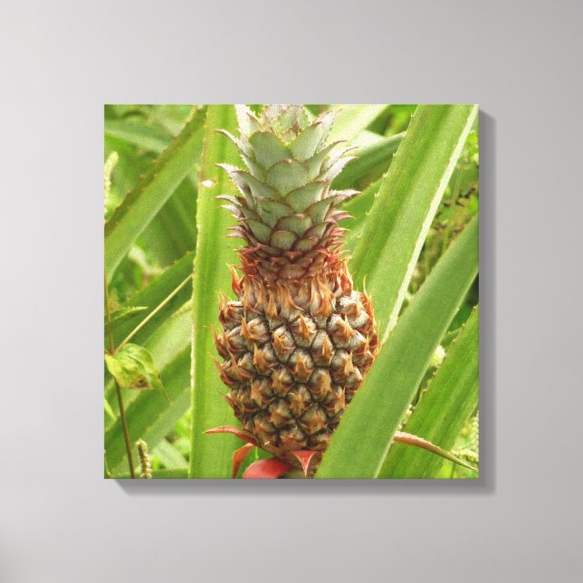 Toile Ananas sauvage Fruit tropical dans la nature (Recto)