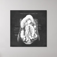 Anatomie Art du système digestif Docteur Cadeau