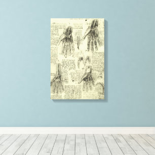 Toile Anatomie de la main humaine par Léonard de Vinci