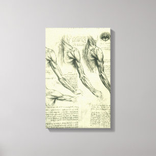 Toile Anatomie du bras et de l'épaule par Léonard de V
