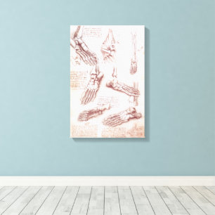 Toile Anatomie du pied osseux de Léonard de Vinci