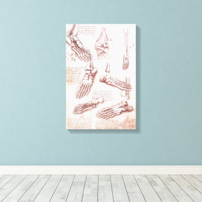 Toile Anatomie du pied osseux de Léonard de Vinci (Insitu (Plancher de Bois))