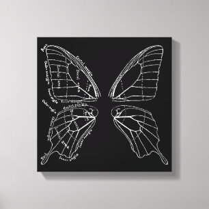 Toile Anatomie D'Un Diagramme Vintage D'Aile Papillon