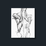 Toile Anatomie noire et blanche Muscles de dos d'art (18<br><div class="desc">Cette vieille illustration médicale en noir et blanc offre une vue détaillée de la musculature du dos.</div>