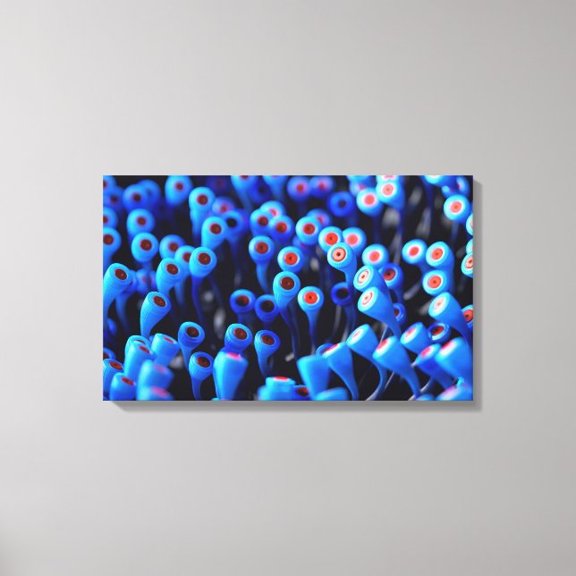 Toile Androecia (Recto)