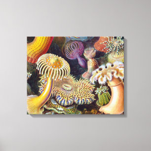 Toile Anémone de mer scientifique nature océan