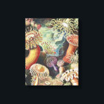Toile Anémones de mer, Actiniae Seeanemonen Ernst Haecke<br><div class="desc">Anémones de mer,  Actiniae Seeanemonen Ernst Haeckel Canvas Imprimer</div>