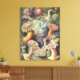 Toile Anémones de mer de Haeckel Collage d'art de vie na
