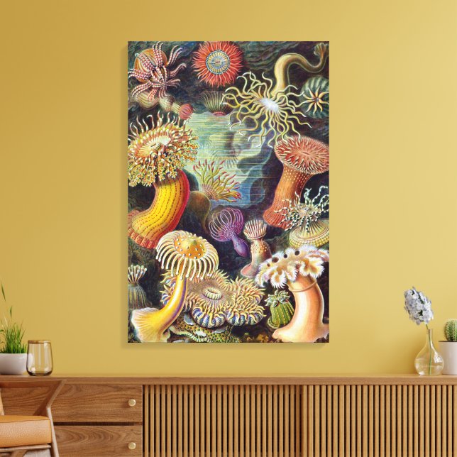 Toile Anémones de mer vintage par Ernst Haeckel (Insitu(Salon))