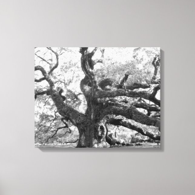 Toile Angel Oak on canvas (Recto)
