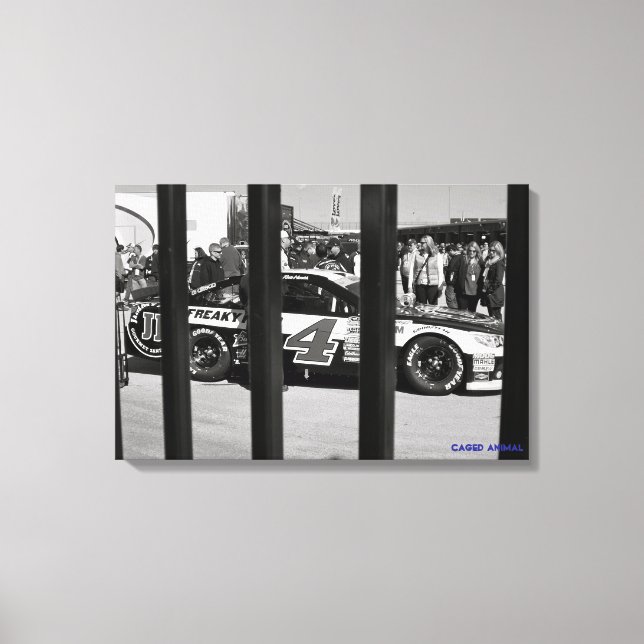 Toile Animal en cage (Recto)