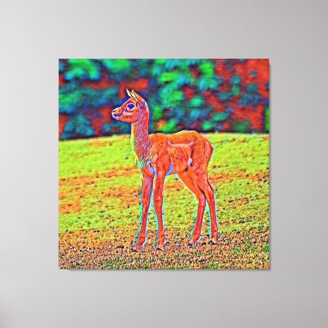 Toile AnimalColor_Antilope_001 (Recto)