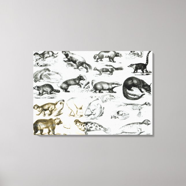 Toile Animaux carnivores (Recto)