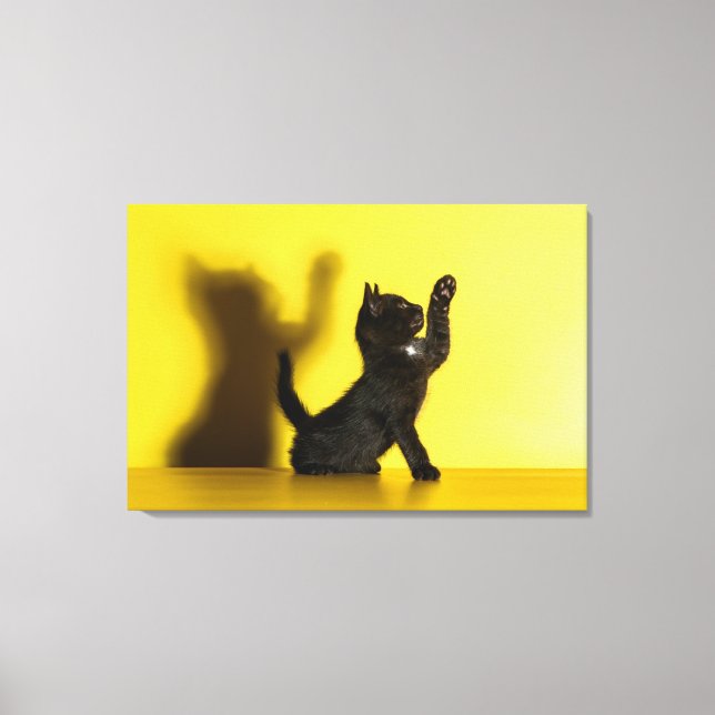 Toile Animaux de bébés cutest | Black Cat Jouer (Recto)