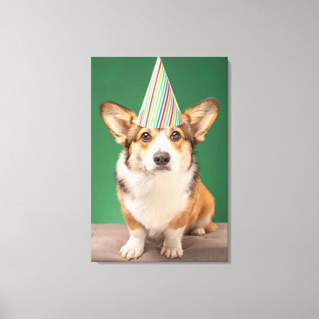 Toile Animaux de bébés cutest | Corgi Anniversaire Chiot (Recto)
