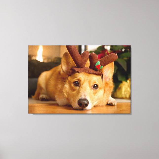 Toile Animaux de bébés cutest | Corgi Christmas Reindeer (Recto)