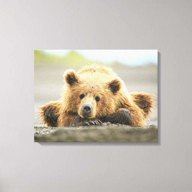 Toile Animaux de bébés cutest | Cub d'ours Brown côtier (Recto)