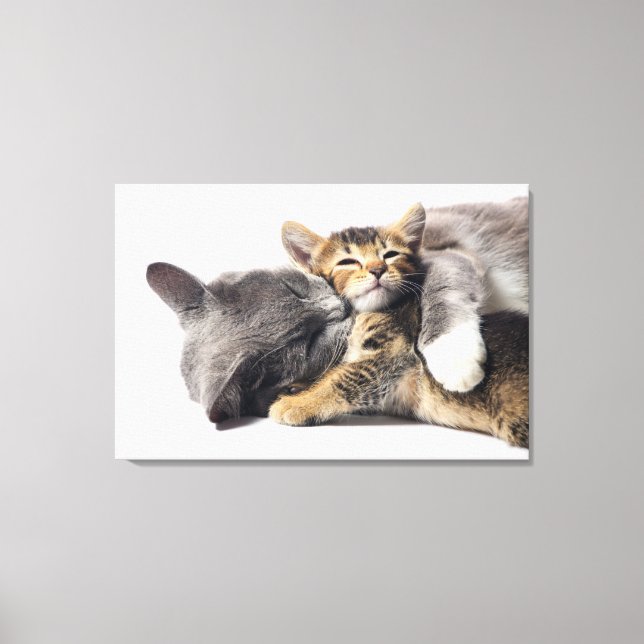 Toile Animaux de bébés cutest | Cute Kitten Hug (Recto)