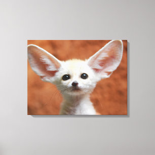Toile Animaux de bébés cutest Fennec Fox Pup