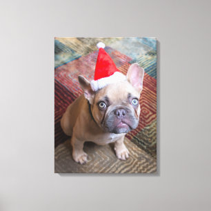 Toile Animaux de bébés cutest   French Bulldog Christmas