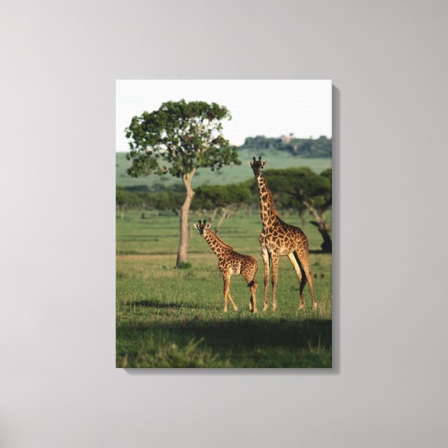 Toile Animaux de bébés cutest | Giraffe Calf & Mama (Recto)