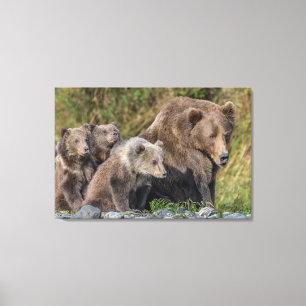 Toile Animaux de bébés cutest   Kodiak Mama Bear & Cubs
