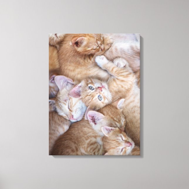Toile Animaux de bébés cutest | Orange Kitten Pile (Recto)
