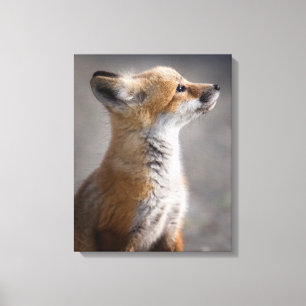 Toile Animaux de bébés cutest   Portrait Baby Fox
