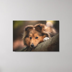 Toile Animaux de bébés cutest Shetland Sheepdog Puppy
