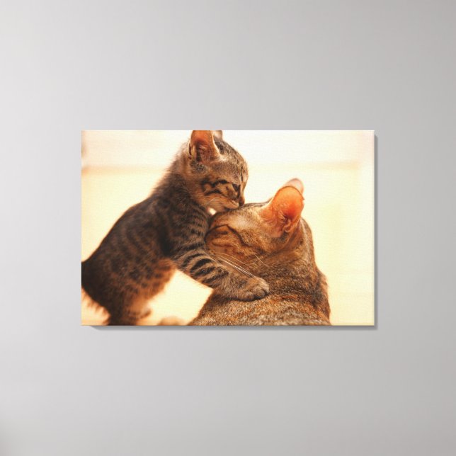 Toile Animaux de bébés cutest | Tabby Kitten Kiss (Recto)