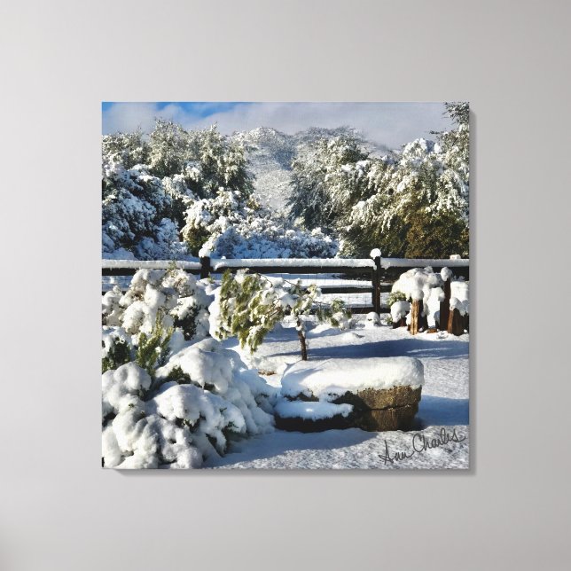 Toile Ann Charles Snowy Day en Arizona (Recto)