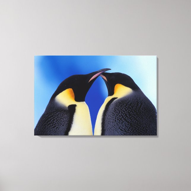 Toile Antarctique, Manchots empereurs (Recto)